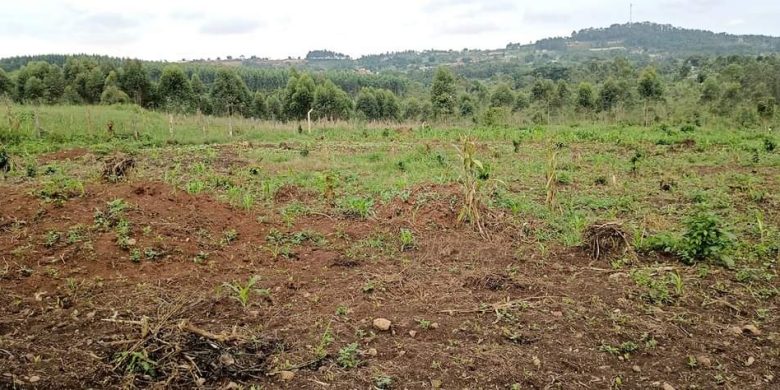 9 acres of land for sale in Namugongo Bukerere Namasiga at 110m per acre