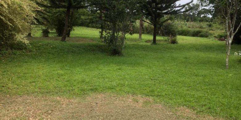 50 decimals plot of land for sale in Kololo at 1m USD