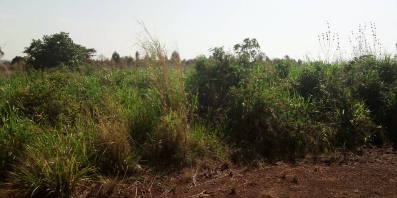 200 acres of land for sale along Kafu River at 3.5m per acre