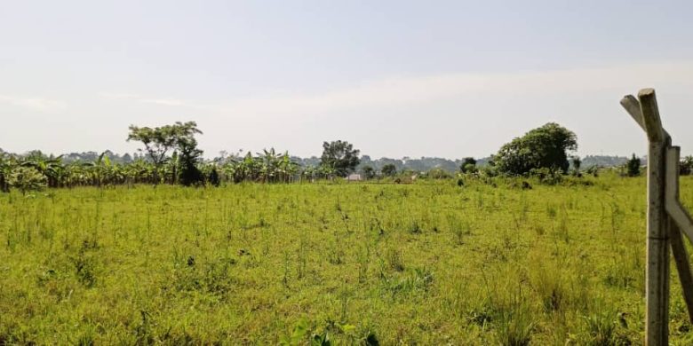 3 acres of land for sale in Bukerere Namasiga at 120m per acre