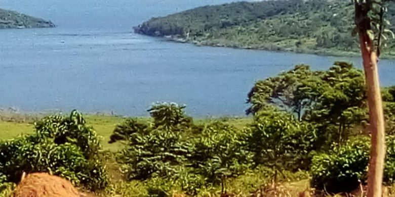 5 acres of lake view land for sale in Muvo Buikwe at 18m per acre