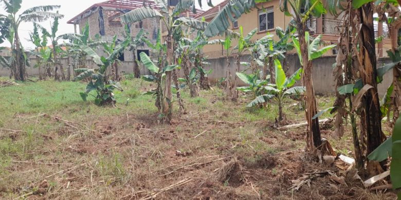 14 decimals commercial plot of land for sale in Kira Nabusugwe at 60m