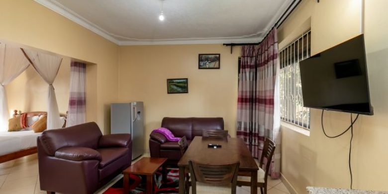 Studio apartments for rent in Entebbe at 600 USD per month