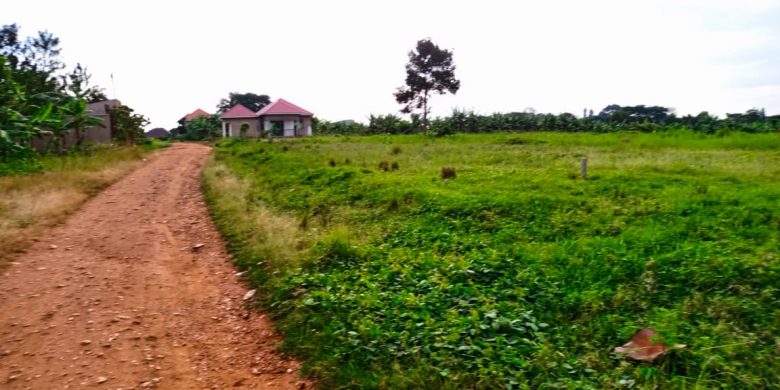 19 plots of land of 50x100ft for sale in Namulonge