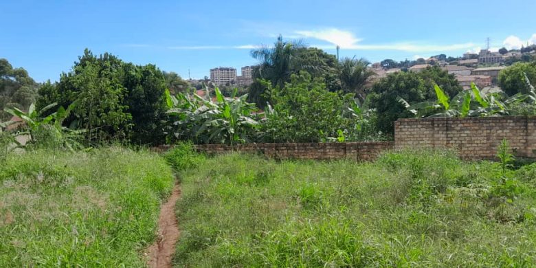 Acres of land for sale in Kasanje from 35m per acre