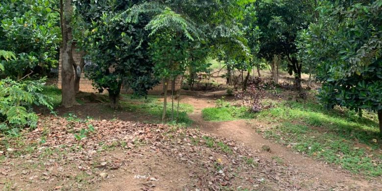 land for sale measuring 1 acre in Buziga, Kampala 1.4 billion shillings