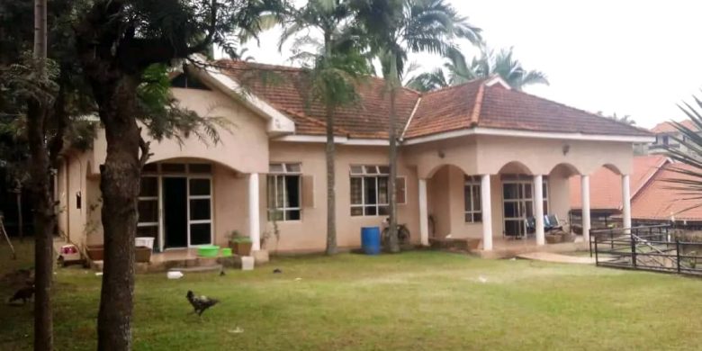 4 Bedrooms House For Sale In Ntinda Off Kymbogo Road 25 Decimals At 700m