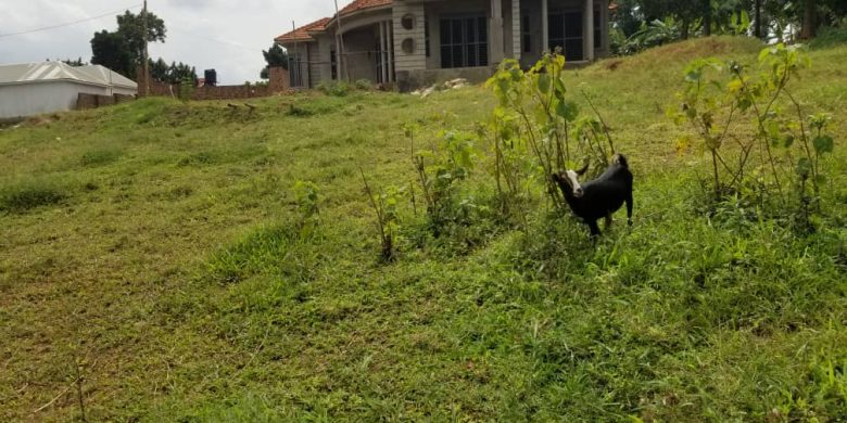 23 Decimals Plot Of Land For Sale In Nakwero Kira 80m