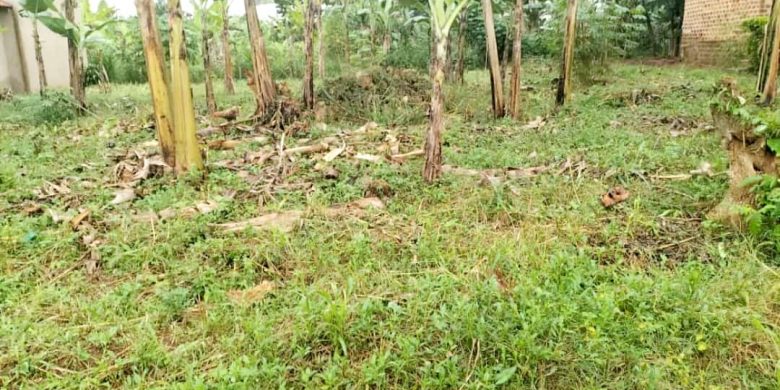 12 Decimals Plot Of Land For Sale In Kira Bulindo At 50m