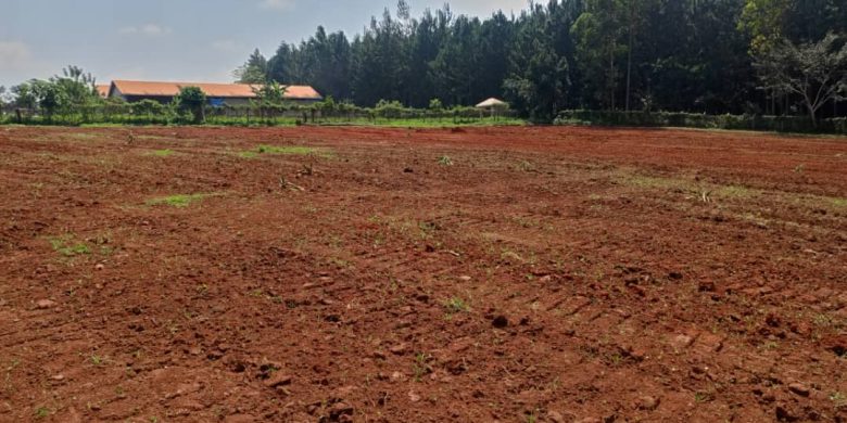 50x100ft Plots Of Land For Sale In Kira Kitukutwe At 65m Per Plot