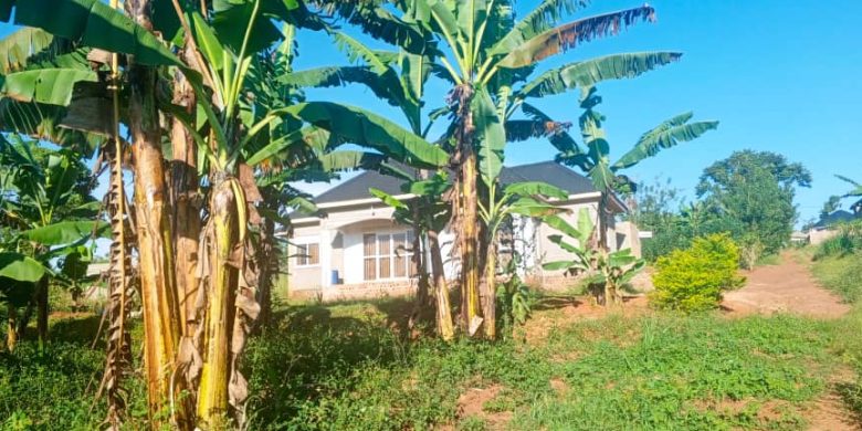 50x100ft Plot Of Land For Sale In Matugga Nasse Mukigaga At 19.5m