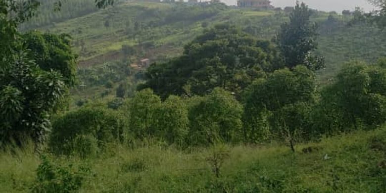 1 Acre Of Land For Sale In Nakawuka On A Hill At 125m