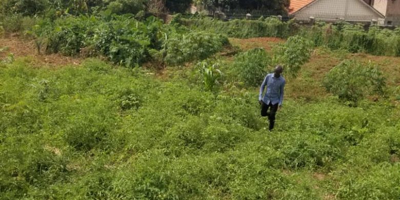 23 Decimals Plot Of Land For Sale In Muyenga Bukasa 600m