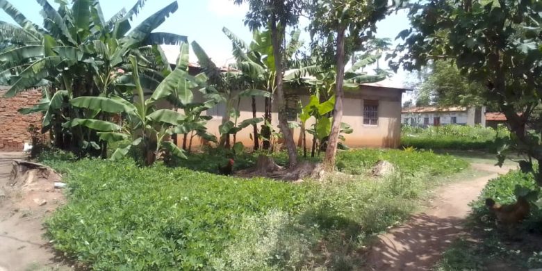 29x17.9 Meter Land With 3 Bedroom House For Sale In Lira Kirombe At 50m Shillings