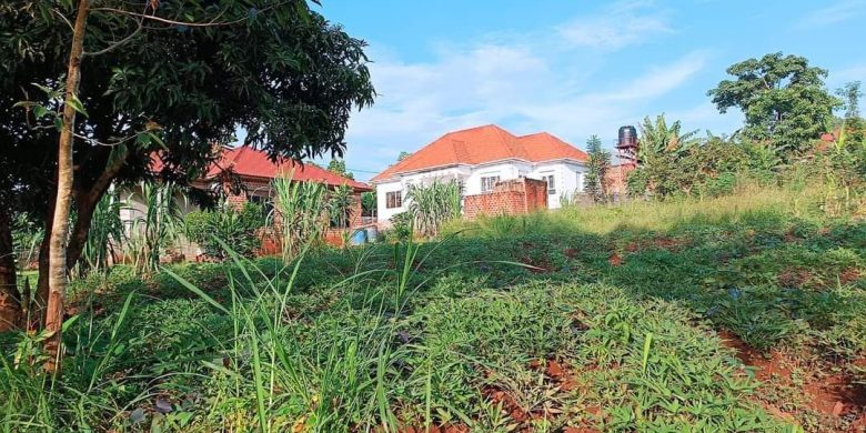 50x100ft Plot Of Land For Sale In Namugongo Jinja Misindye At 50m