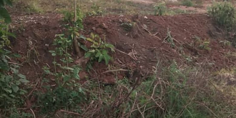 50x100ft Plots Of Land For Sale In Kavule Bombo Road At 13m Per Plot