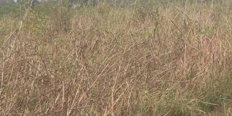 4000 Acres Of Land For Sale In Ocoko Village Pabbo Amuru District 1.3m ...