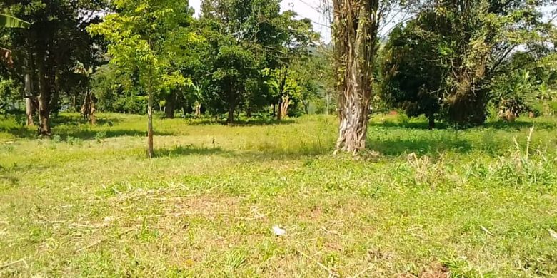 6 Acres On The Banks Of The Nile River In Bujowali Njeru For Sale 400m Per Acre