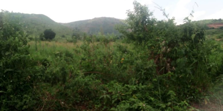 25 Acres Of Freehold Land For Hoima Along Tonya Biso Road 80m Per Acre