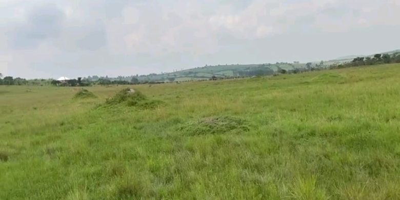 200 Acres Of Land For Sale In Buliisa At 20m Per Acre