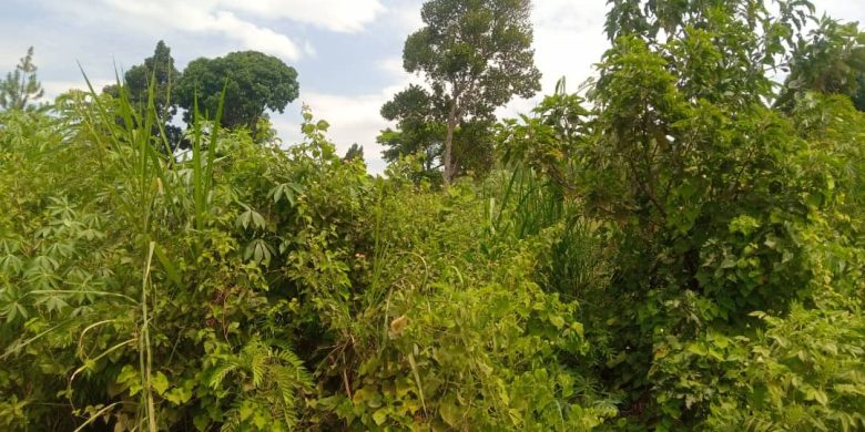 2.2 Acres Of Land For Sale Next To Hoima Stadium At 180m