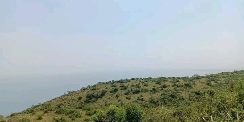 5 Square Miles 3200 Acres Lake Albert Freehold Land For Sale In Hoima 6m Per Acre