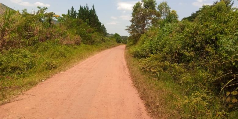 6 Acres For Sale In Namutumba Freehold At 60m Per Acre