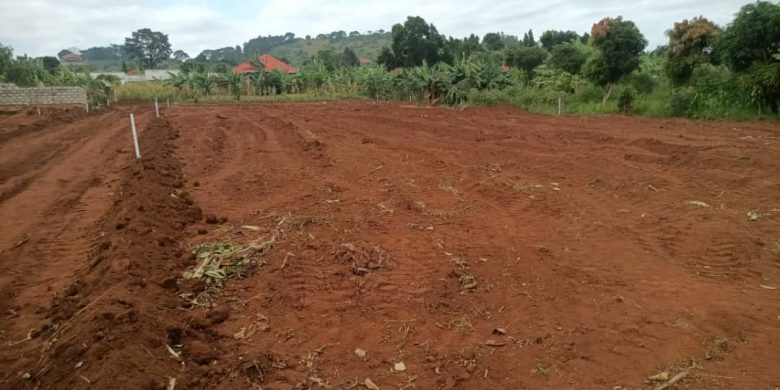 8000 Acres Of Freehold Land For Sale In Nabilatuk Karamoja At 3.5m Per Acre