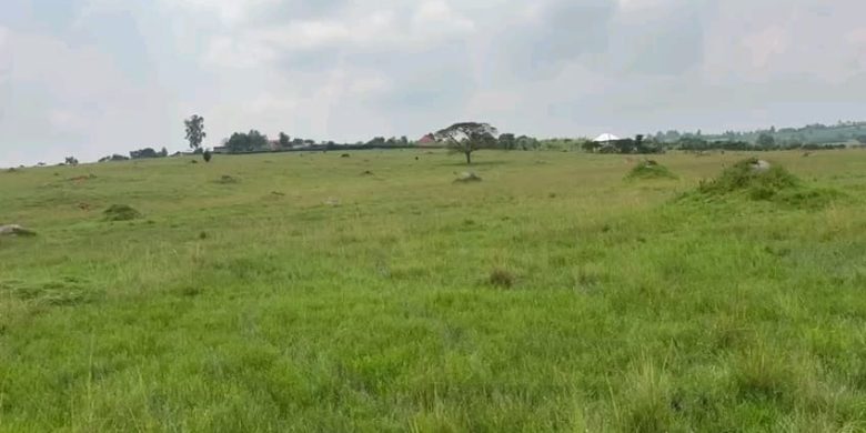 15 Acres Of Land For Sale In Tajar Bukedea At 4m Per Acre