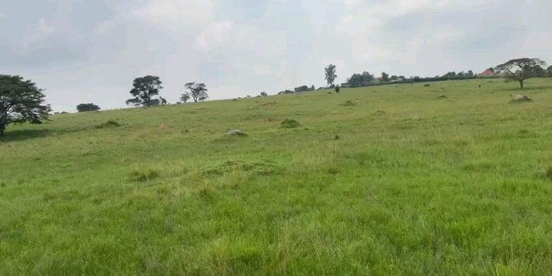 2,000 Acres Of Land For Sale In Kapelebyong At 3.5m Per Acre