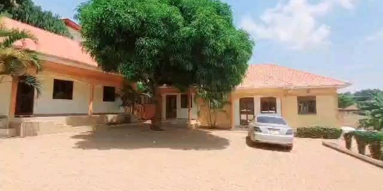 7 Rental Houses For Sale In Najjera 5.4m Monthly On 35 Decimals At 600m