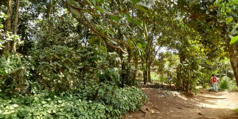 32 Decimals Plot Of Land For Sale Off Sir Apollo Kagwa Near MBI At 750m