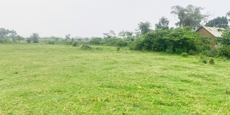 8 Acres Of Lakefront Land For Sale In Buwama At 50m Per Acre