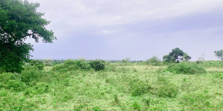 Farm Land for Sale in Lukaya, touching Katonga River