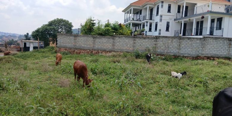 1 Acre Commercial Plot Of Land For Sale In Bunamwaya 1.5 Billion Shillings