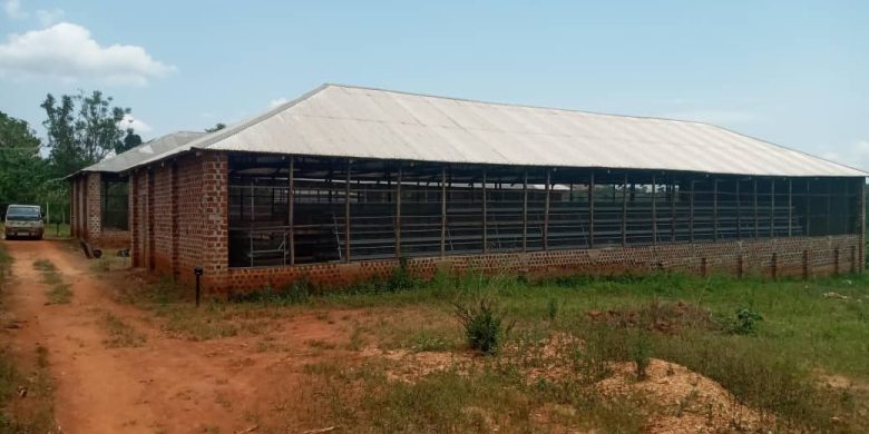 13.5 Acres Of Matooke And Poultry Farm For Sale In Kirolo Matugga at 850m