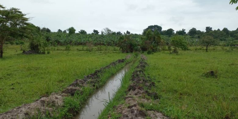 Farmland for sale in Uganda