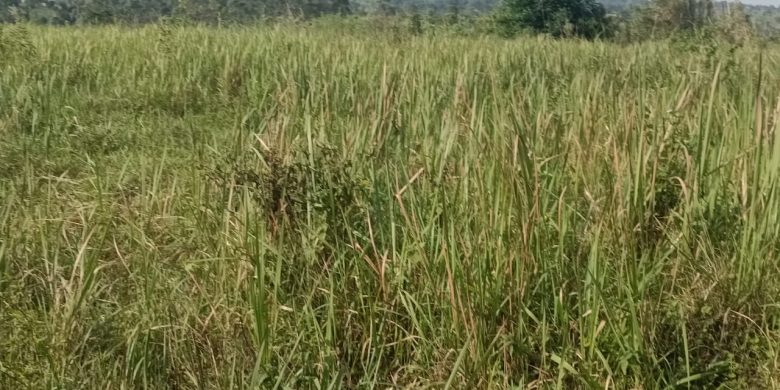 2 Square Miles Of Freehold Land For Sale In Isingiro At 18m Per Acre