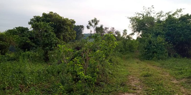 5.5 Square Miles Of Land For Sale In Masaka Lukaya At 3.5m Per Acre