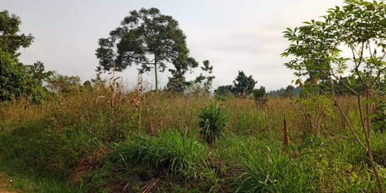 200 Acres Of Land For Sale In Nabyewanga, Mpigi Masaka Road 18m Per Acre