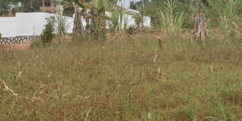 12 Decimals Plot Of Land For Sale In Kitende Lumuli At 55m