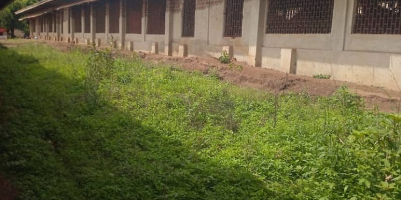 19.5 Acres Farm For Sale In Zogiti Mityana Road At 1.5 Billion Shillings