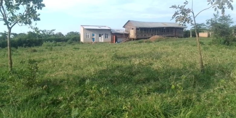 100 Acres Of Farmland For Sale In Nakaseke Butalangu At 11m Per Acre