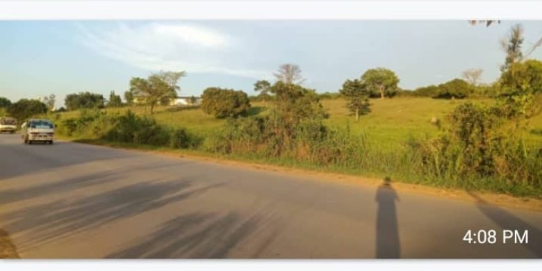 15 Acres Commercial Land For Sale In Matugga At 290m Per Acre