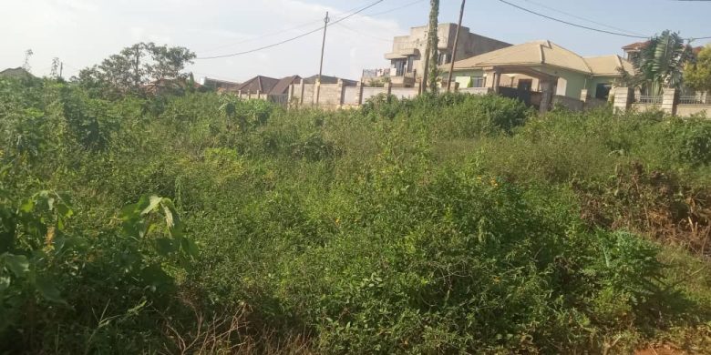 20 Decimals Plot Of Lake View Land For Sale In Munyonyo At 750m