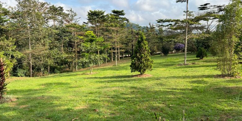 5 Square Miles Of Farmland For Sale In Kibaale Buyaga At 5m Shillings Per Acre