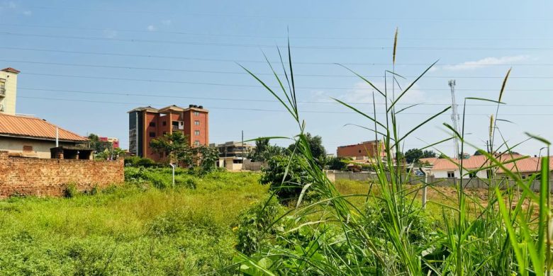 15 Decimals Plot Of Land For Sale In Kira Mulawa At 165m