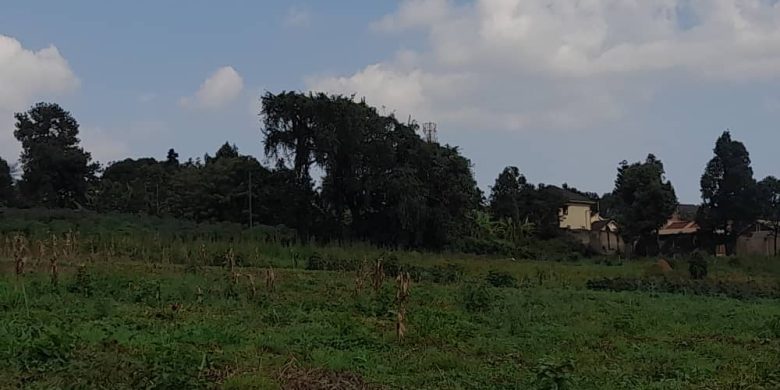 10 Acres Of Land For Sale In Bweyogerere Kakajjo 800m Per Acre