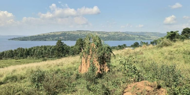 100 Acres Of Lake Front Land For Sale In Buikwe District 30m Per Acre