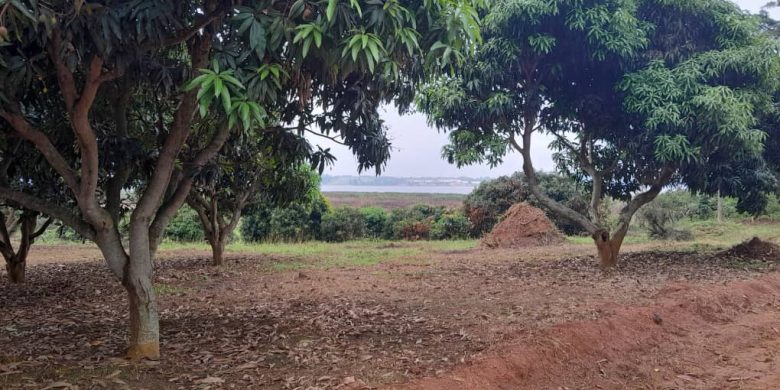 1 Acre Lake View Land For Sale In Garuga Entebbe Road At 600m